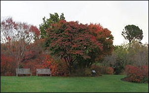 autumn3