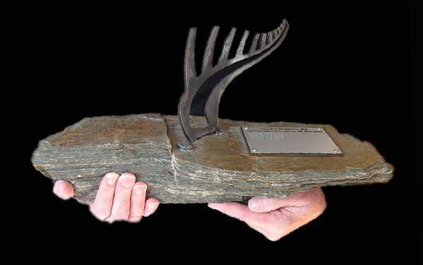 trophy3
